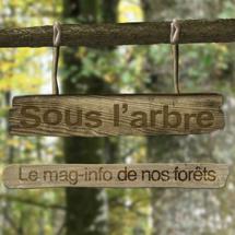 sous l'arbre
